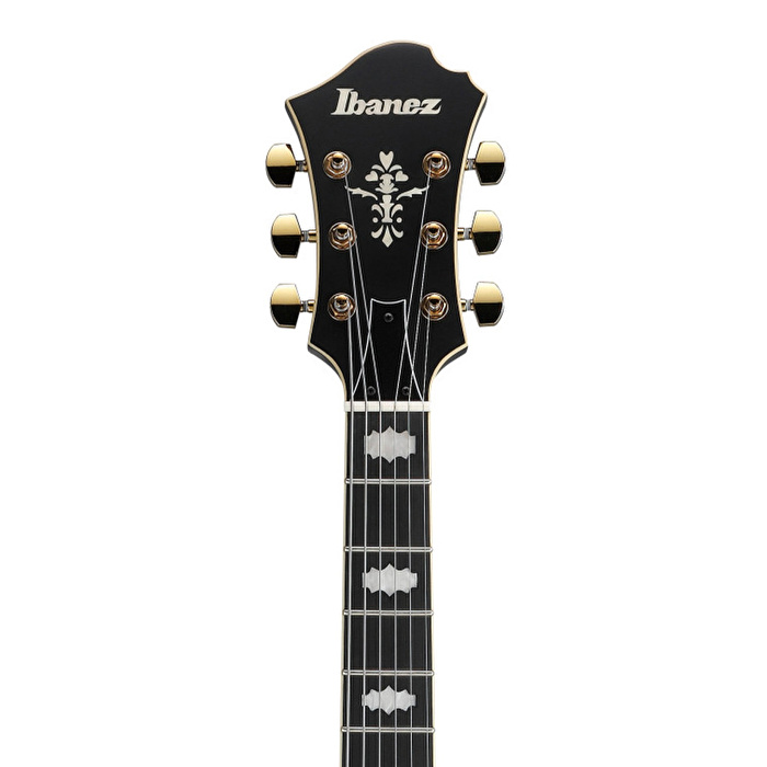 Ibanez PM3C-BKL Pat Metheny Signature Siyah Hollow Body Elektro Gitar